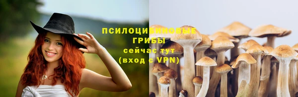 стафф Алексеевка
